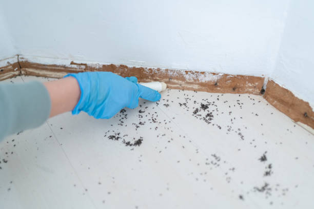 Pest Control for Restaurants in Kotlik, AK